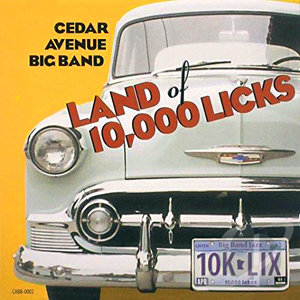 10K Licks Cedar Avenue Band