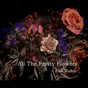 AllThePrettyFlowersAlanWalker