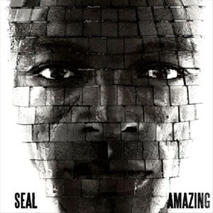 Amazing Seal