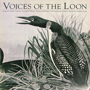Artist Audubon Voices Of Loon