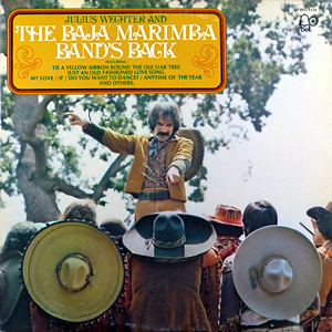 Baja Marimba Bands Back
