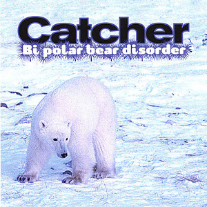 Bi Polar Bear Disorder Catcher
