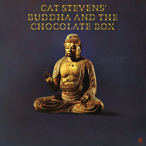 Chocolate Box Stevens