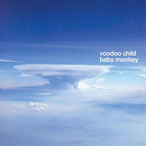 Cloudscape Voodoo Child Baby Monkey