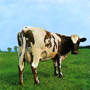 Cow Pink Floyd Atom Heart Mother