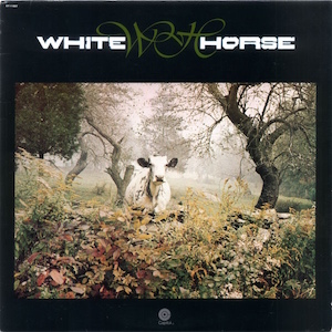 Cow White Horse