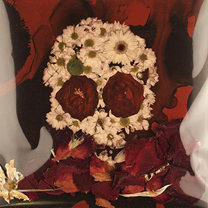 DeadFlowersRollingStones
