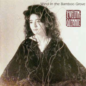 EvelynGlennie_Wind