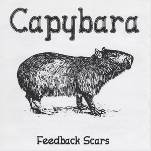 FeedbackScarsCaprbara