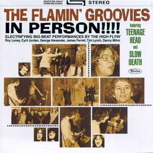 Flamin Groovies In Person