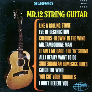 Glen Campbell Mr 12 String Guitar