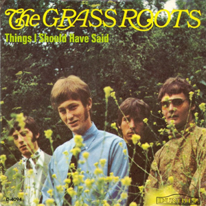 GrassRootsThingsIShouldHaveSaid