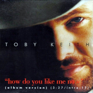 How Do You Like Me Now Toby Keith