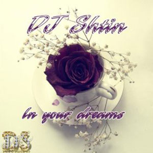 In Your Dreams DJ Shtin