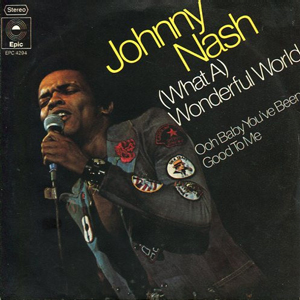 JohnnyNashWonderfulWorld