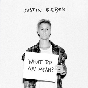 JustinBieberWhatDoYouMean