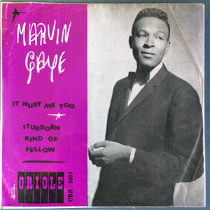 MarvinGayeItHurtMeToo