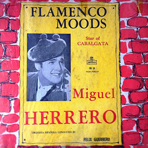 Miguel Herrero Flamenco Moods