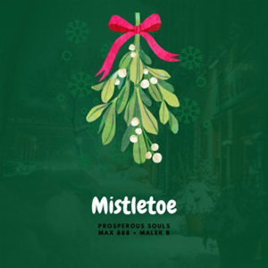 MistletoeMax888