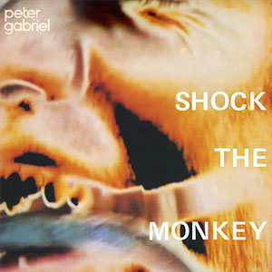 Monkey Shock Peter Gabriel