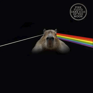 PinkFloydCapybara