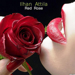 Red Rose Ilhan Attila