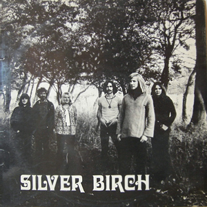 SilverBirchSilverBirch