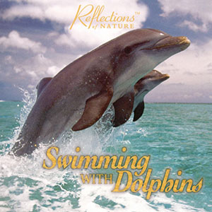 Swimming With Dolphins Jeff Wolpert