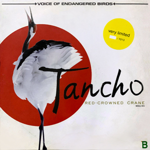 TanchoRedCrownedCrane