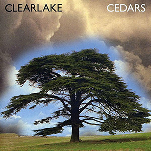 Tree Clear lake Cedars