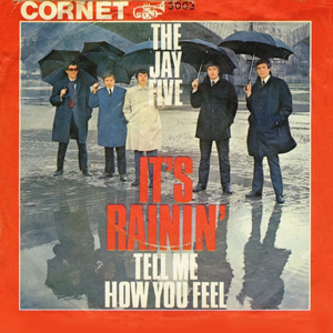 Umbrella Rainin Jay Five