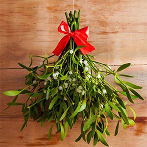 UnderTheMistletoe_VA