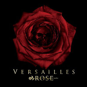 Versailles Rose