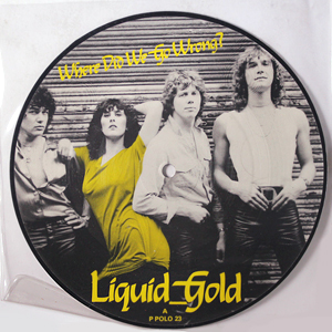 Where Did We Go Wrong Liquid Gold