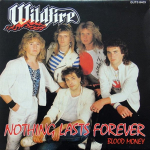 WildfireNothingLastsForever