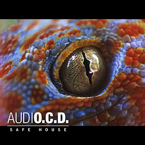 audioCDsafehouse