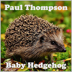 babyhedgehogpaulthompson
