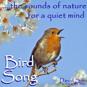 bird song for a quiet mind