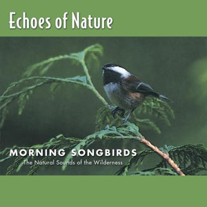 bird songs echoes of nature