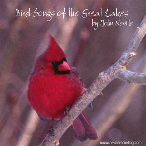 bird songs great lakes