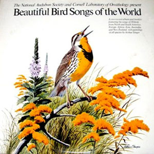 bird songs of the world