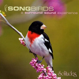 bird song surround sound