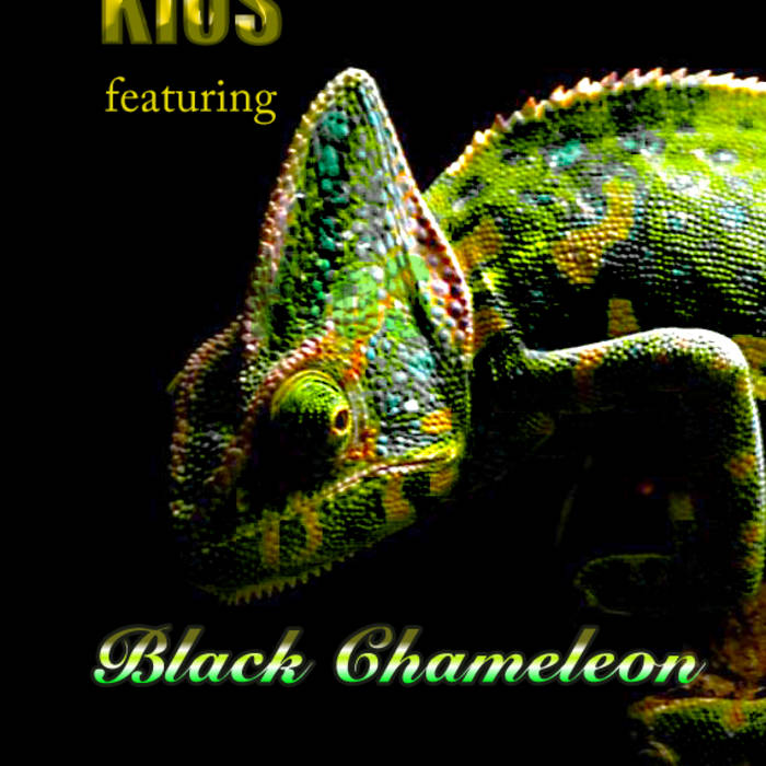 blackchameleonklos