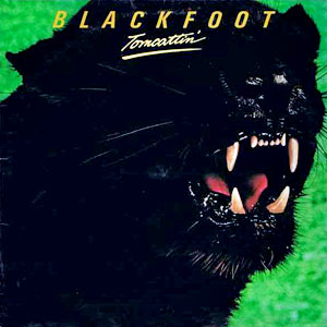 blackfoottomcattin
