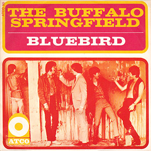 bluebirdbuffalospringfield