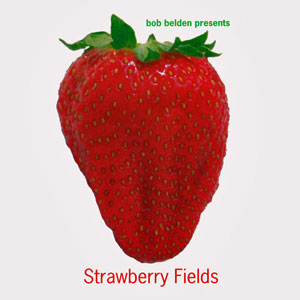 bobbeldenstrawberryfields