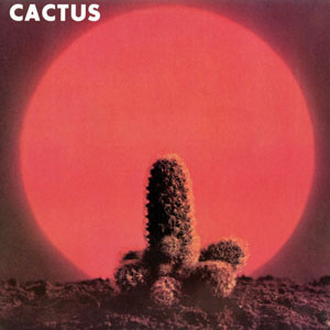 cactusbigredsun