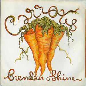carrots_brendanshine