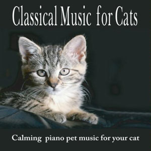 cat calm classical piano music
