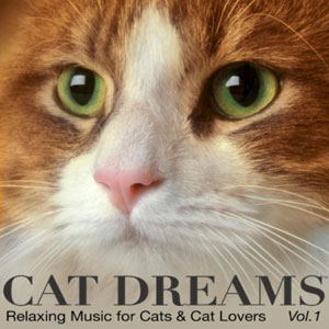 cat calm dreams relaxing music